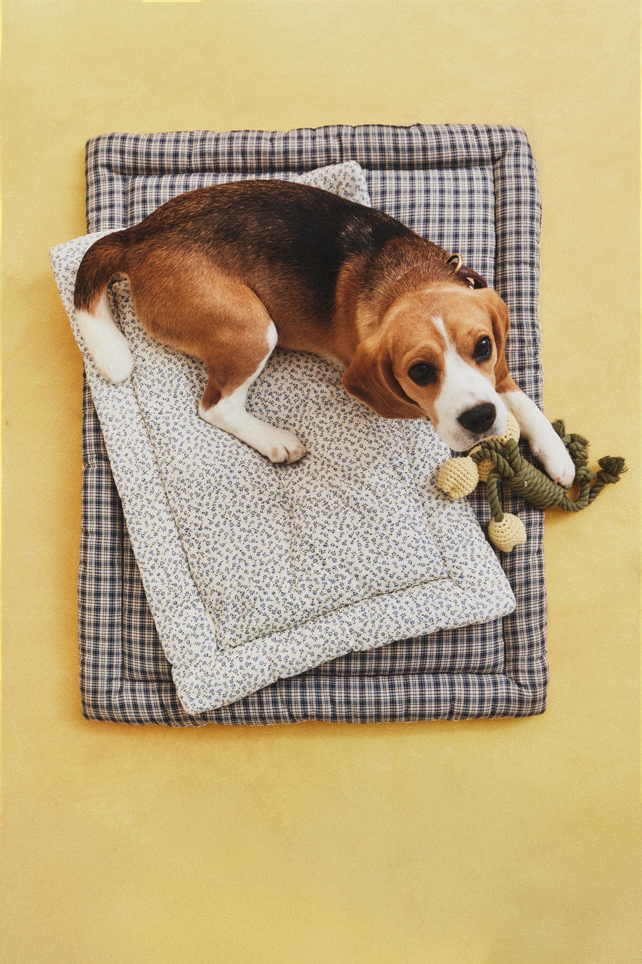 SURMATELAS CARREAUX ET FLEURS ANIMAUX DE COMPAGNIE
